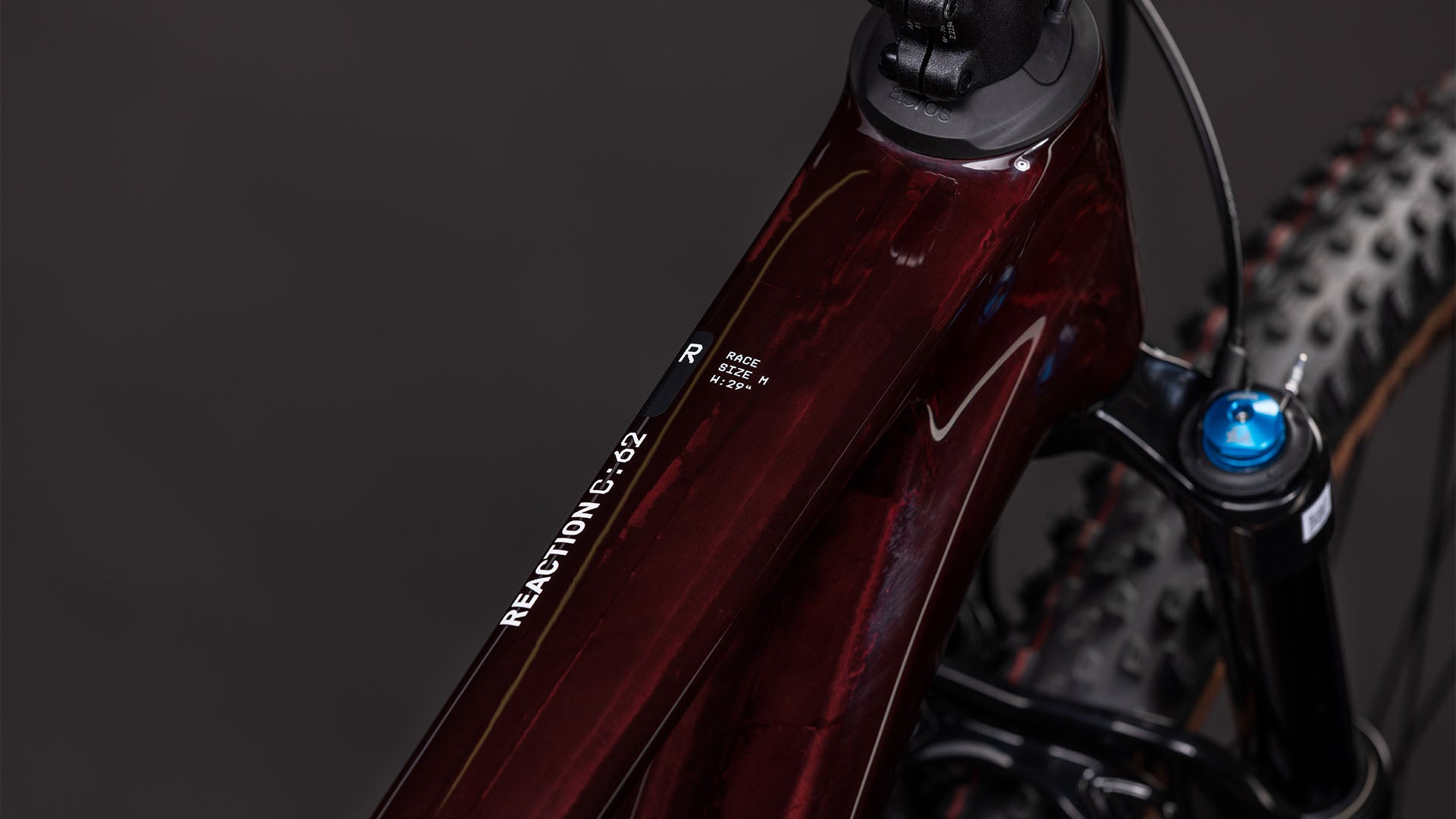 BICICLETA MONTAÑA CUBE REACTION C:62 RACE 2026